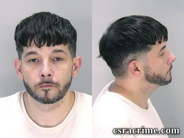 Brandon Efremoff booking photo