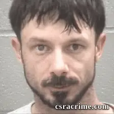 Brandon Eugene Furr booking photo