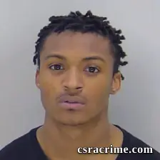 Brandon Francis booking photo
