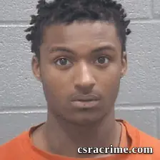 Brandon Francis booking photo