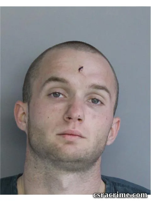 Brandon Hall booking photo