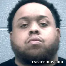 Brandon Hudson booking photo
