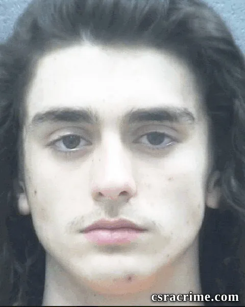 Brandon Jenkins booking photo