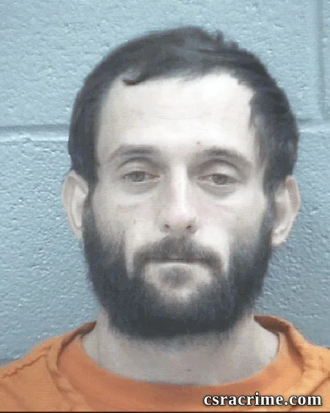 Brandon Johnson booking photo