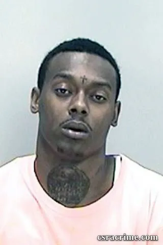Brandon Johnson booking photo
