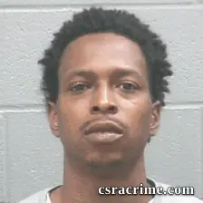 Brandon Johnson booking photo