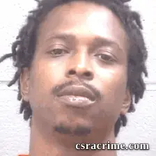 Brandon Johnson booking photo