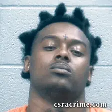 Brandon Johnson booking photo