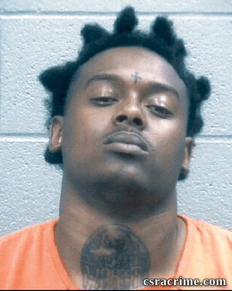 Brandon Johnson booking photo