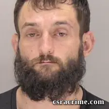 Brandon Johnson booking photo