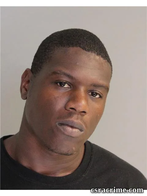 Brandon Johnson booking photo