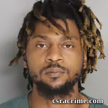 Brandon Johnson booking photo