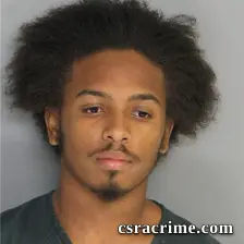 Brandon Martin booking photo