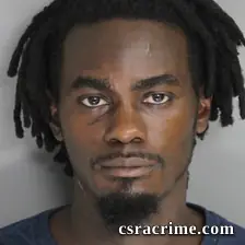 Brandon Martin booking photo