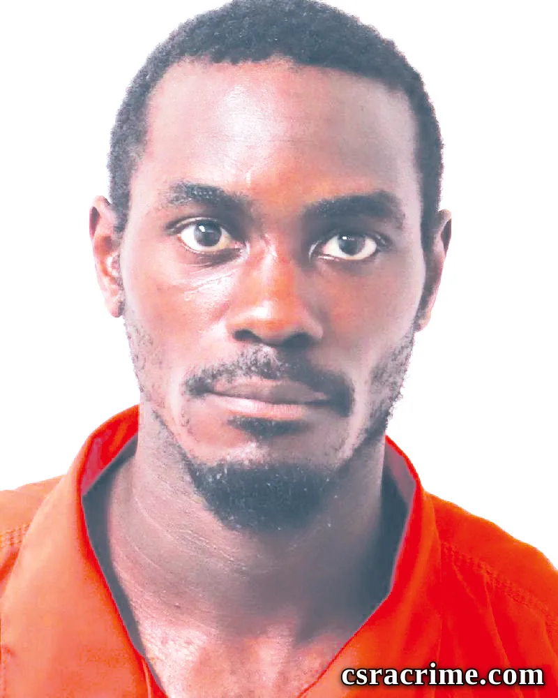 Brandon Martin booking photo