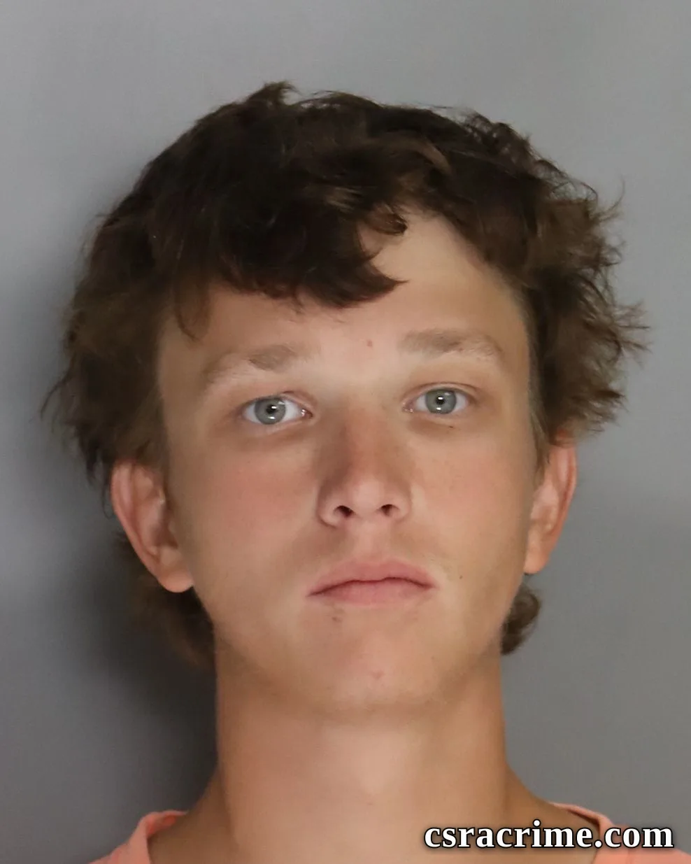 Brandon Mccoy booking photo