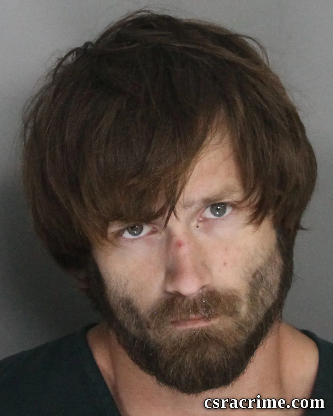 Brandon Mckie booking photo