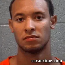 Brandon Mcleod booking photo