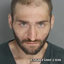 Brandon Morrison booking photo