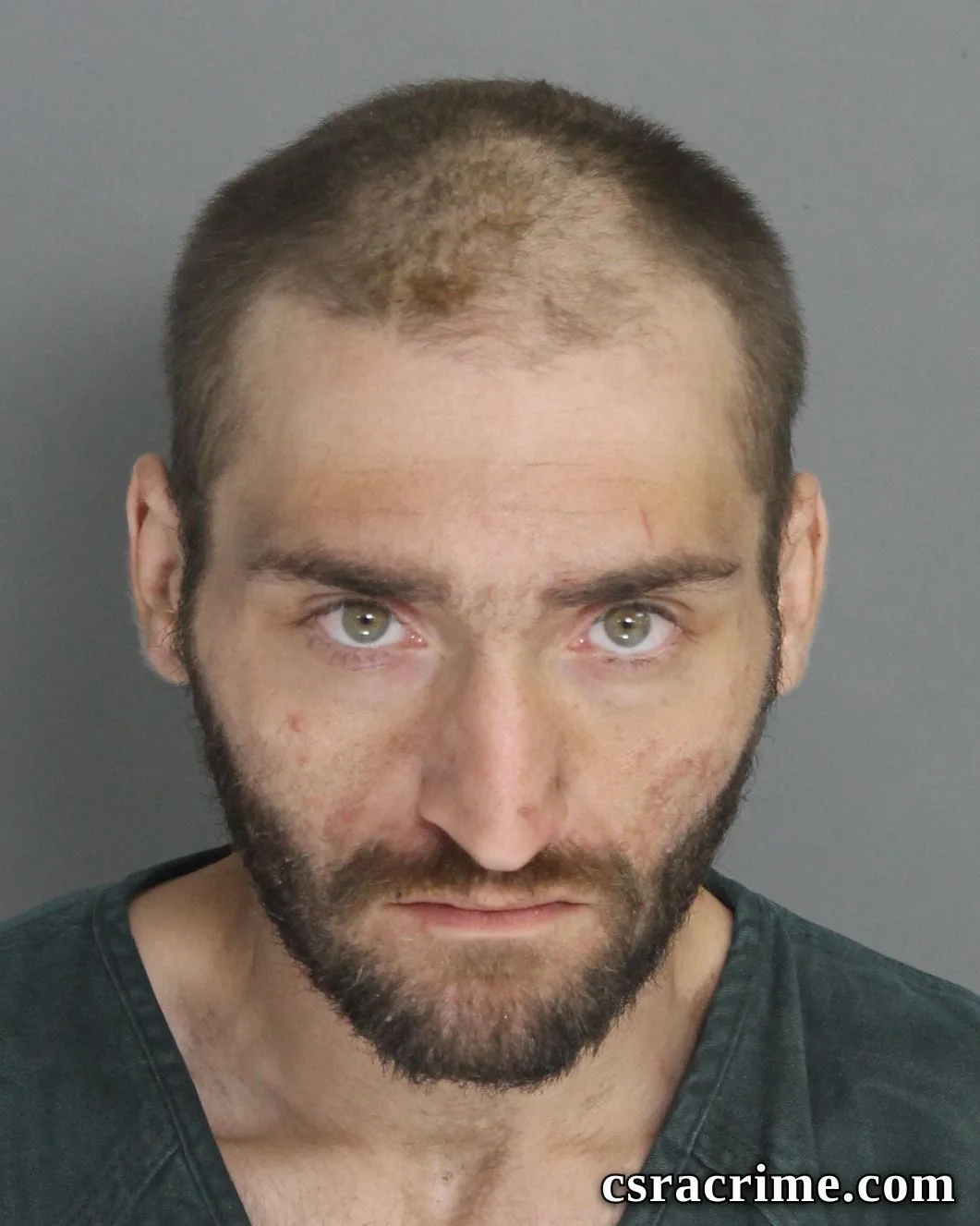 Brandon Morrison booking photo
