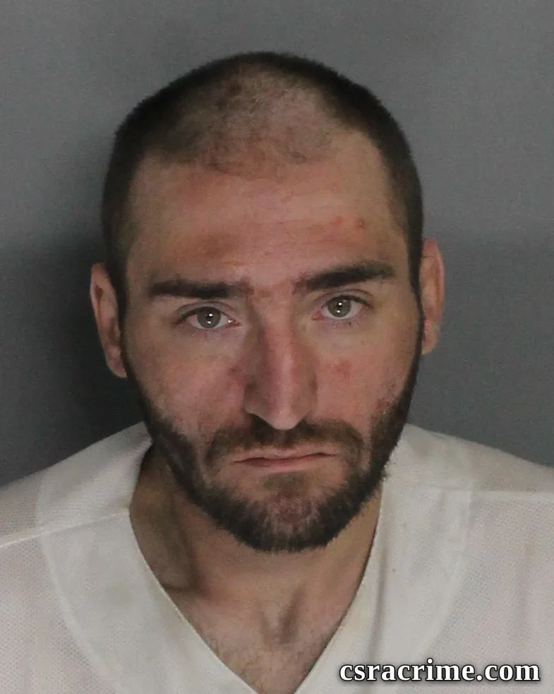Brandon Morrison booking photo