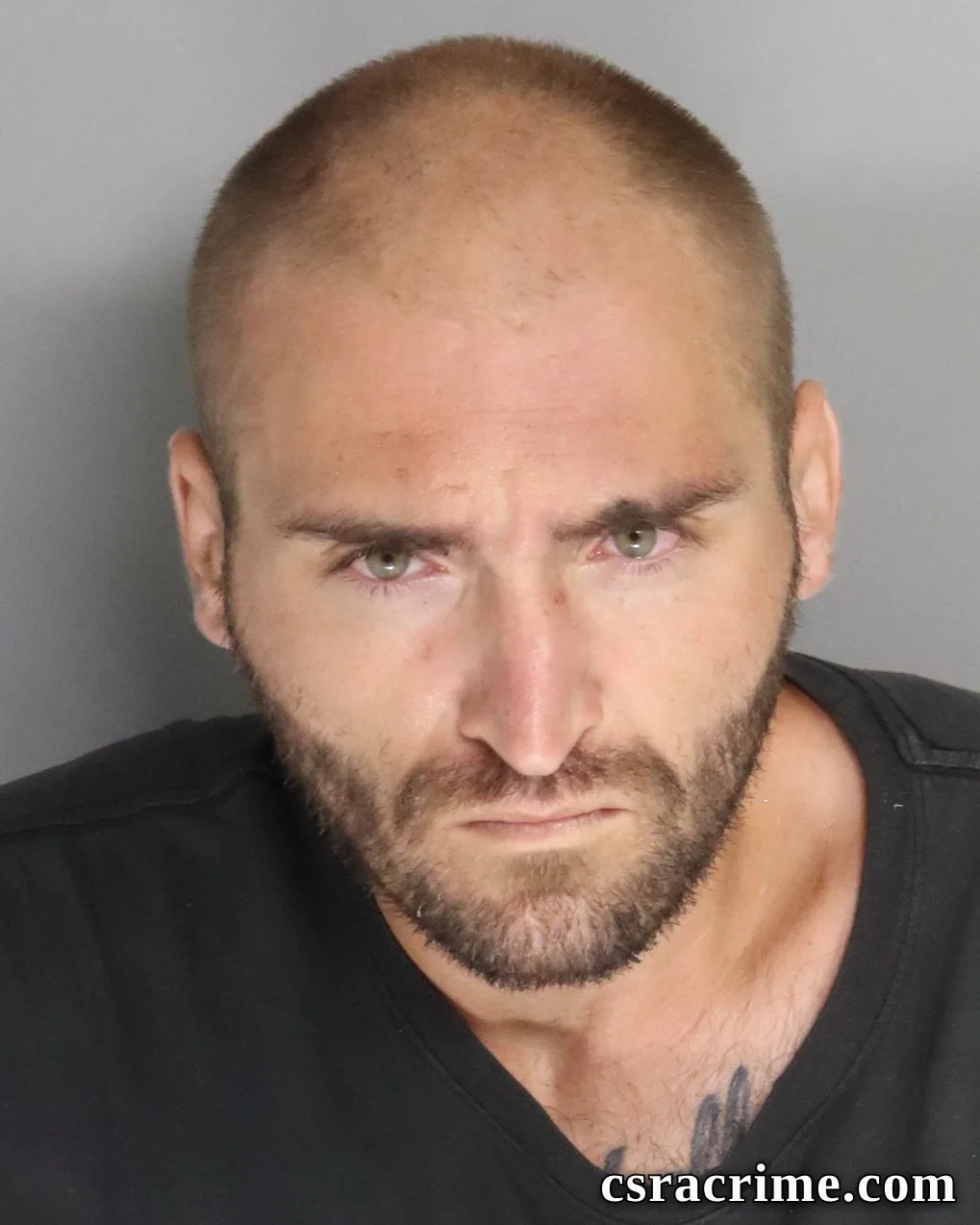 Brandon Morrison booking photo