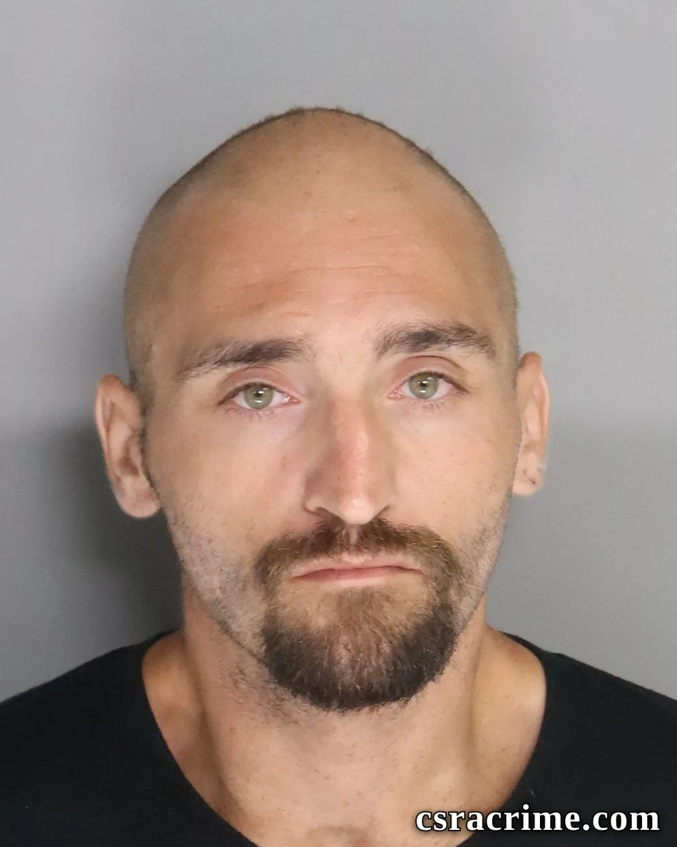 Brandon Morrison booking photo