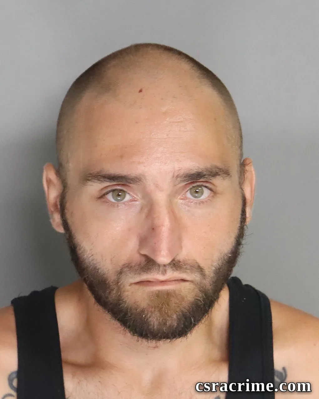 Brandon Morrison booking photo