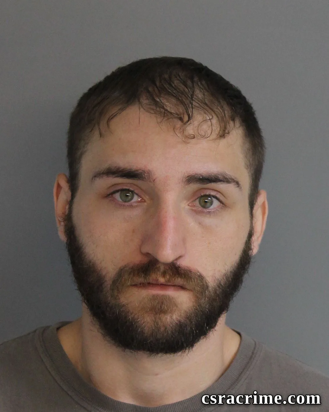 Brandon Morrison booking photo