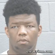 Brandon Newton booking photo