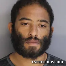 Brandon Pickeral booking photo