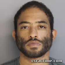 Brandon Pickeral booking photo
