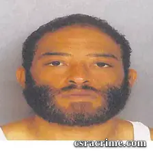 Brandon Pickeral booking photo
