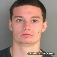 Brandon Reese booking photo
