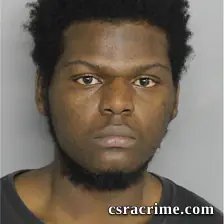 Brandon Robinson booking photo