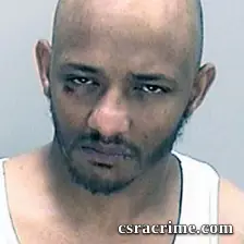 Brandon Robinson booking photo