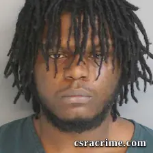 Brandon Robinson booking photo