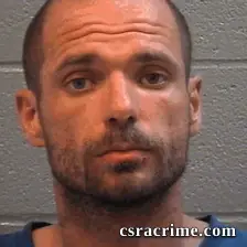 Brandon Robinson booking photo