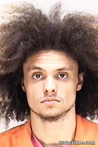 Brandon Rozier booking photo