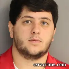 Brandon Snelling booking photo