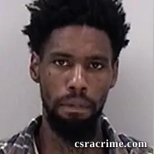Brandon Stevenson booking photo