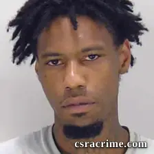 Brandon Stevenson booking photo