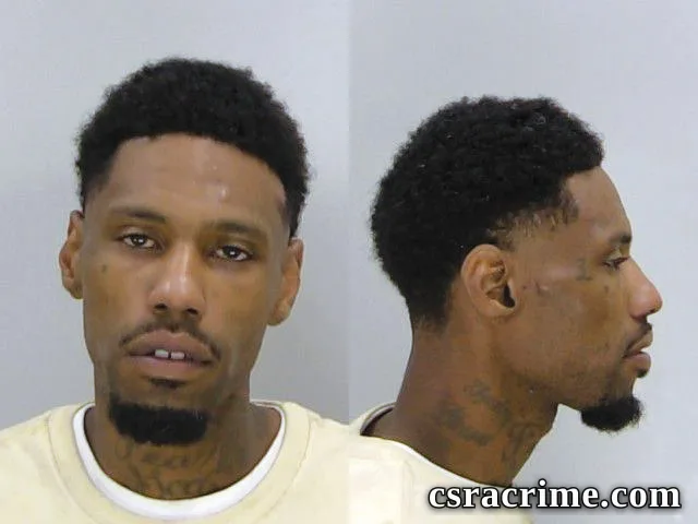 Brandon Stevenson booking photo