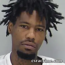 Brandon Stevenson booking photo