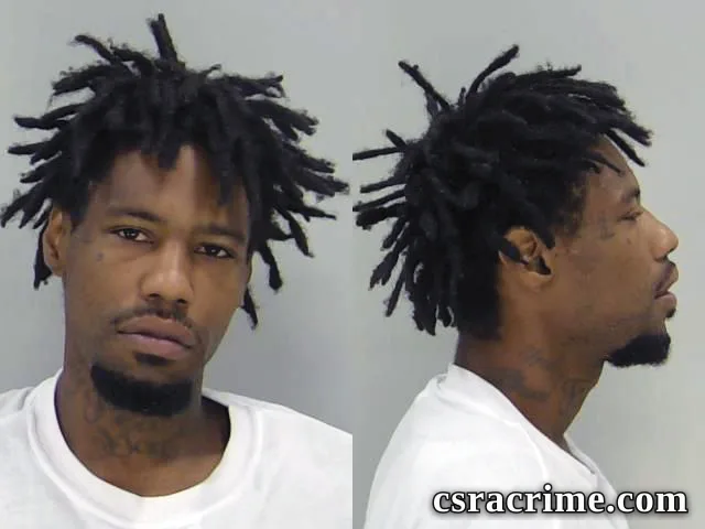 Brandon Stevenson booking photo