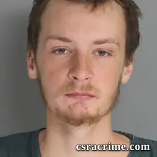 Brandon Thorne booking photo