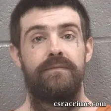 Brandon Wade Crist booking photo