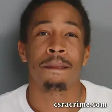 Brandon Watkins booking photo
