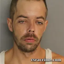 Brandon Williams booking photo