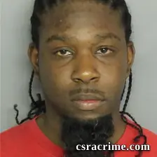 Brandon Williams booking photo